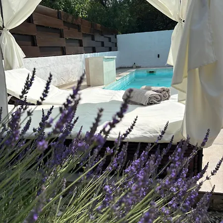 Anchi * Ζαντάρ